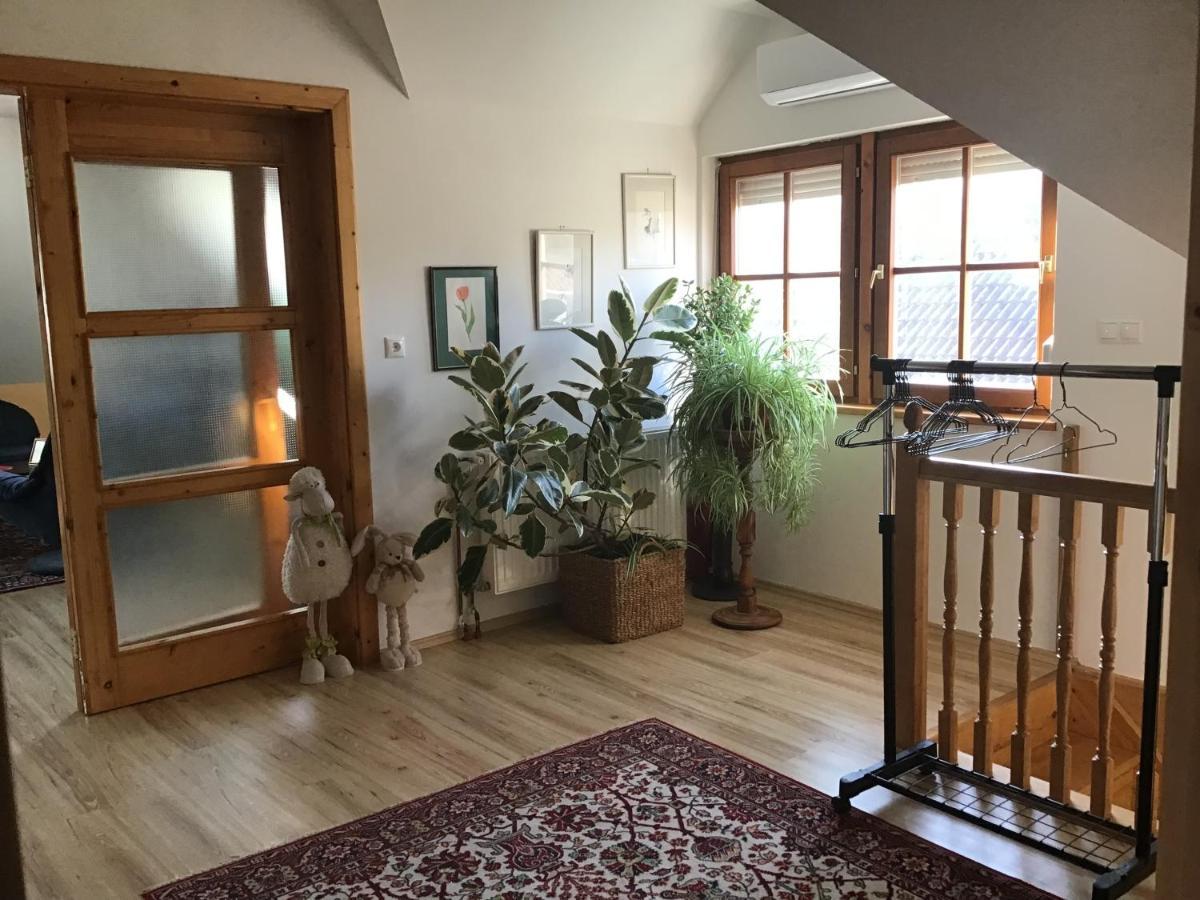 Citellus Apartman Dunasziget エクステリア 写真